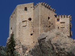 Castillo de Mula 2010